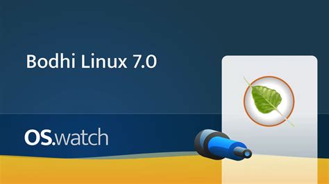 Toradh íomhá ar Bodhi Linux