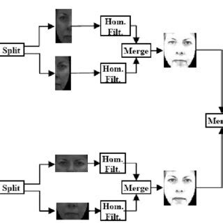 Toradh íomhá ar Homomorphic Filtering Test Image