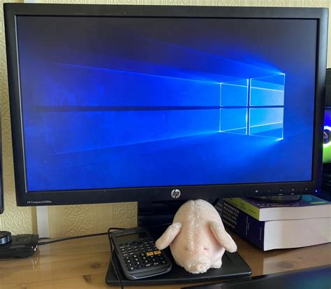 Screen Pixels Computer Anatomy に対する画像結果