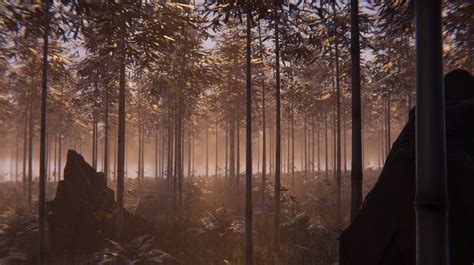 Image result for Forest Terrain Unity Map