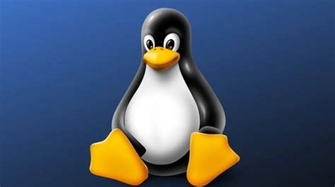 Image result for Linux Penguin vs Windows