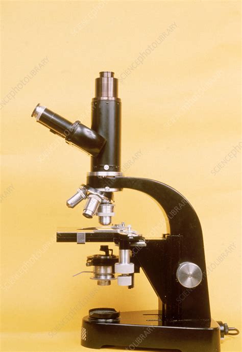 Image result for First Light Microscope