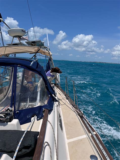 Image result for Gaussian Mixture Model Book