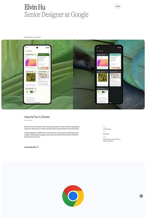 Image result for Portfolio Website Examples