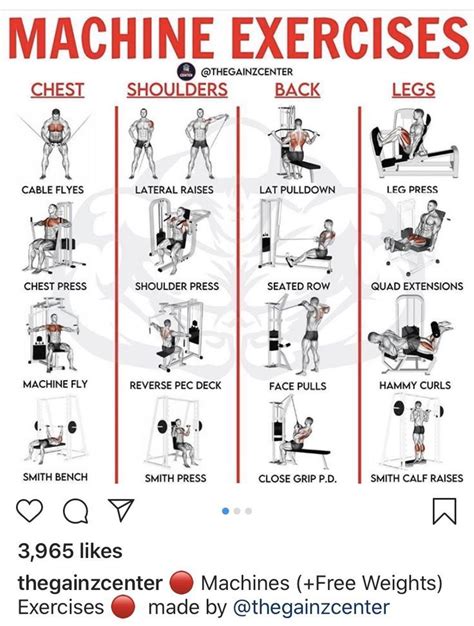 Image result for Back Exercises Gym Machine