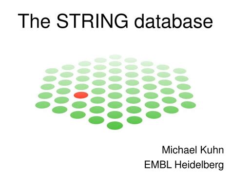 What Is String Database に対する画像結果
