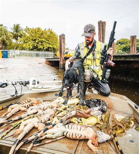 Toradh íomhá ar Python Cowboy Iguana Hunt