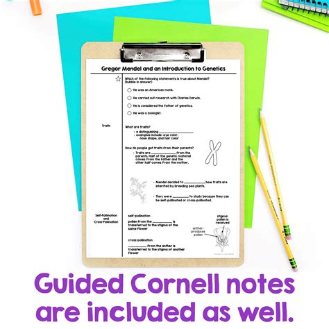 Genetics Introduction Worksheet に対する画像結果