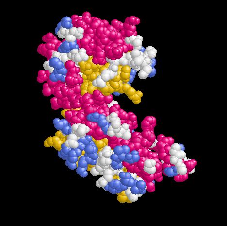 Afbeeldingsresultaten voor HTML Best Assignment