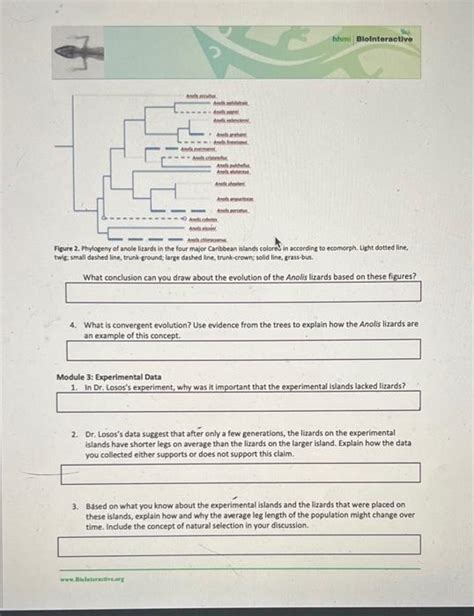 Image result for Lab Report Done On Module 3 of Lizard Evolution Virtual Lab