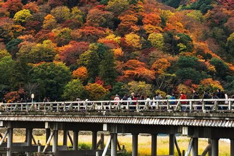 Image result for Spring Japan Bridge Kyoto