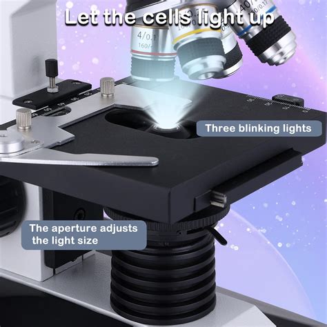 Image result for Nikon Microscope 5000X Magnification