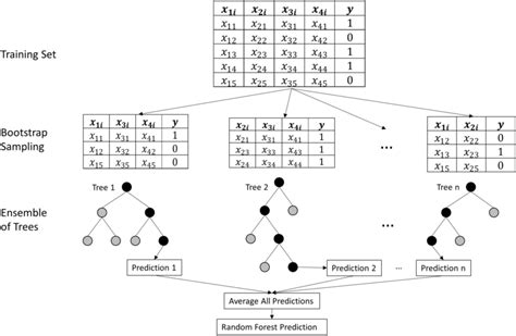Image result for Algorithme De Random Forest