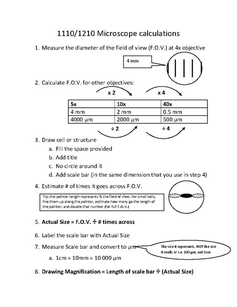Toradh íomhá ar Field of View On a Microscope