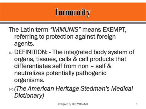 Image result for Immune System Structure