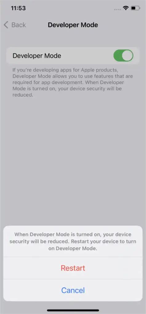 Image result for Active Developer Mode