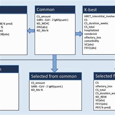Toradh íomhá ar Ideal Features Machine Learning