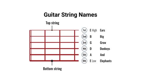 Image result for String Bass Strings Names