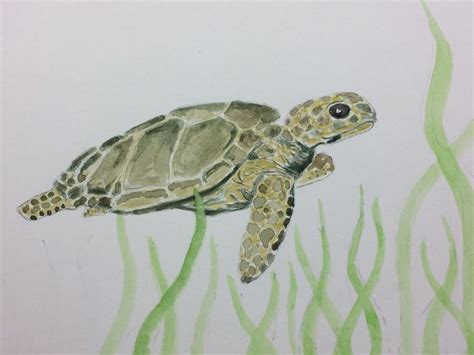 Turtle Good Drawing に対する画像結果