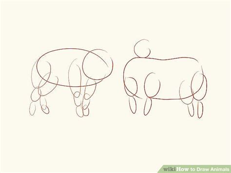 How 2 Draw Animals に対する画像結果