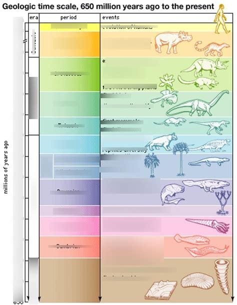 Pumpkins Geologic Time Scale に対する画像結果