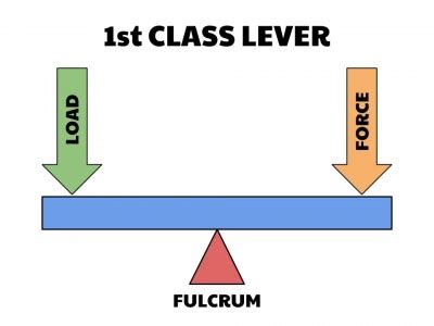 Image result for Class 1 Lever Examples