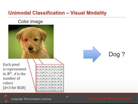 Image result for Multimodal Machine