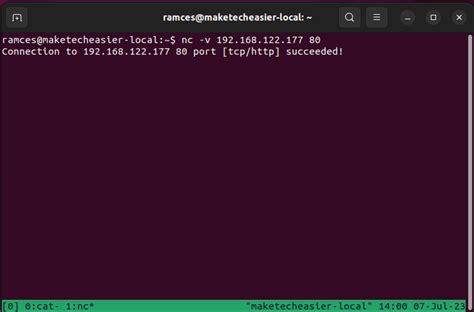 Netcat Interfaces に対する画像結果
