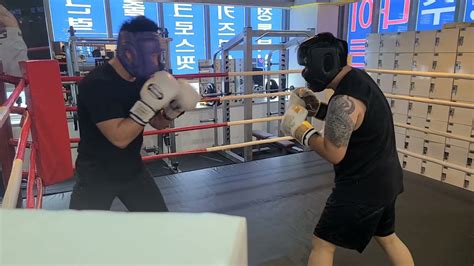 Bildergebnis für Boxer vs Kickboxer