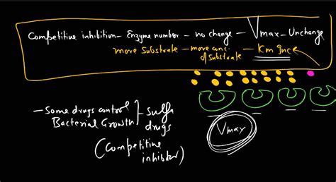 Image result for Enzyme Forte Tab