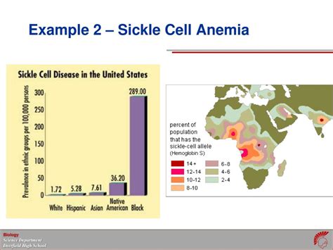 Image result for Gene Mutation Examples