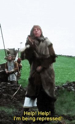 Image result for Monty Python Stupid GIF