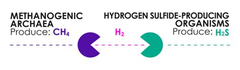 Image result for Trio Smart Form