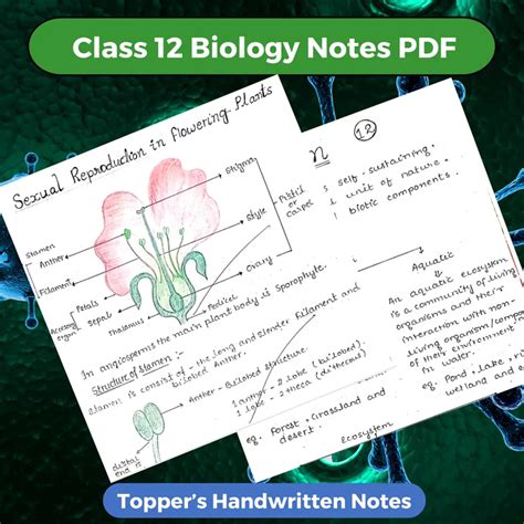 Image result for Unique Notes Chemistry 12 Class
