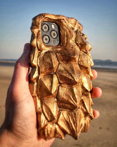 Afbeeldingsresultaten voor Drawing of Alligator Snapping Turtle Shell