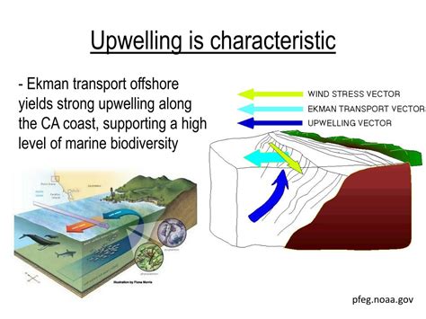 California. Current Diagram with Gyre に対する画像結果