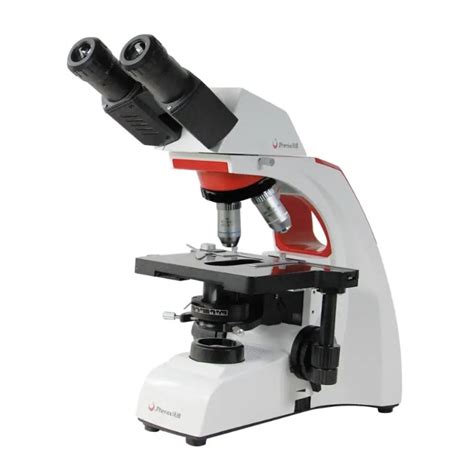 Image result for Electronic Microscope Image