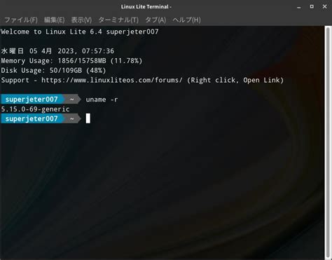 Image result for Linux Lite Bootloader