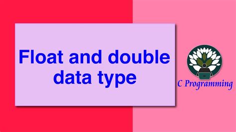 Image result for Double Data Type Examples