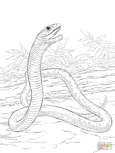 Toradh íomhá ar Python Rysunek