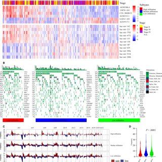 Image result for Genome vs Transcriptome