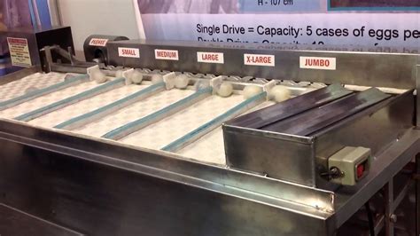 Image result for Egg Sorting Machine Design