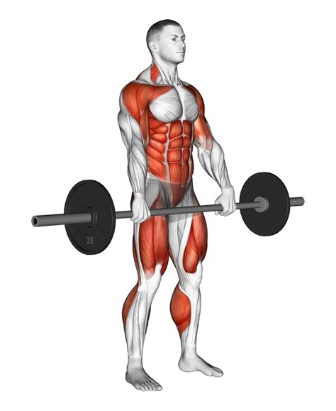 Toradh íomhá ar Barbell Squat Variations