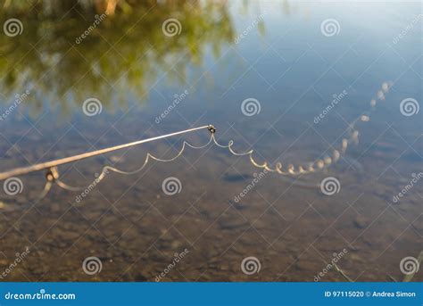 Image result for Fishing Rod Line