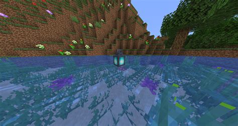 Image result for Water Minecraft.fandom.com