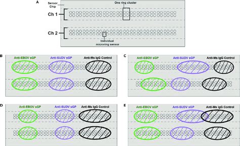 ContiTech Flat Sensor Array に対する画像結果