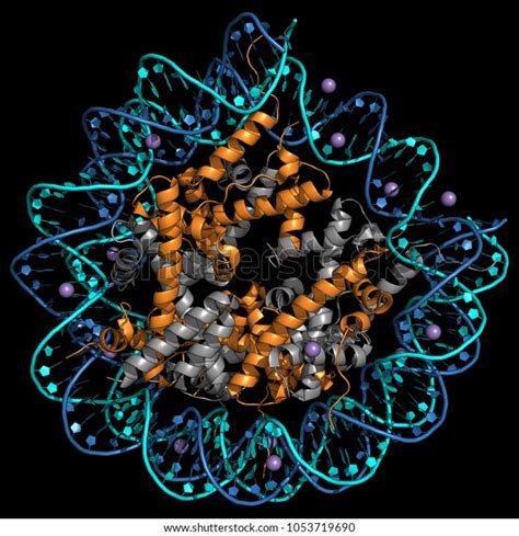 Histone Octamer に対する画像結果