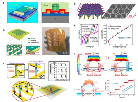 Transistor Array Sensor に対する画像結果