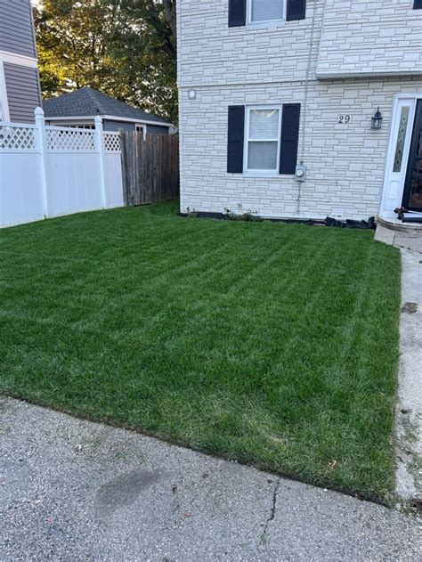 Afbeeldingsresultaten voor How to Overseed in Fall