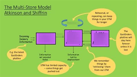 Image result for Multi More Store Model